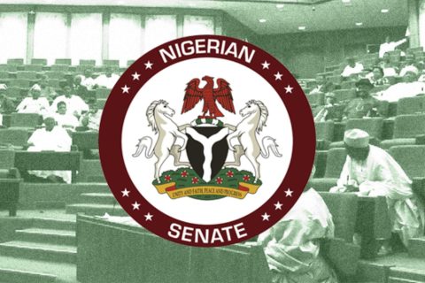 Senate Leader Plans Single 6-year Tenure Bill For President, Govs